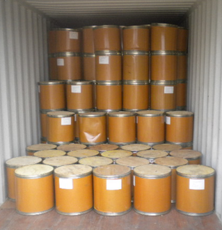 L-Carnitine 